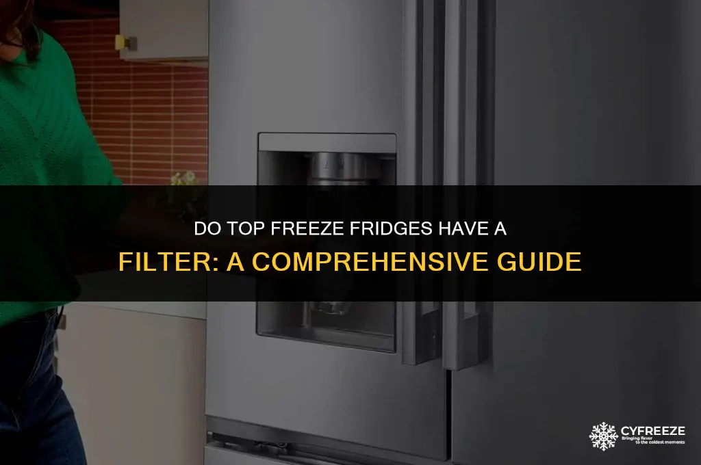 do top freeze fridges have a filter