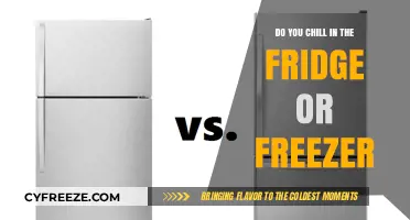 Chill Vibes: Fridge vs. Freezer - Where Do You Unwind?