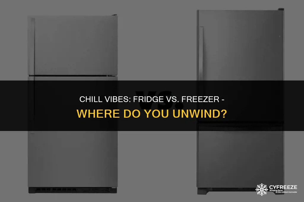 do you chill in the fridge or freezer