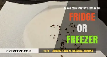 Chill or Freeze: The Optimal Cold Stratification Method for Seeds