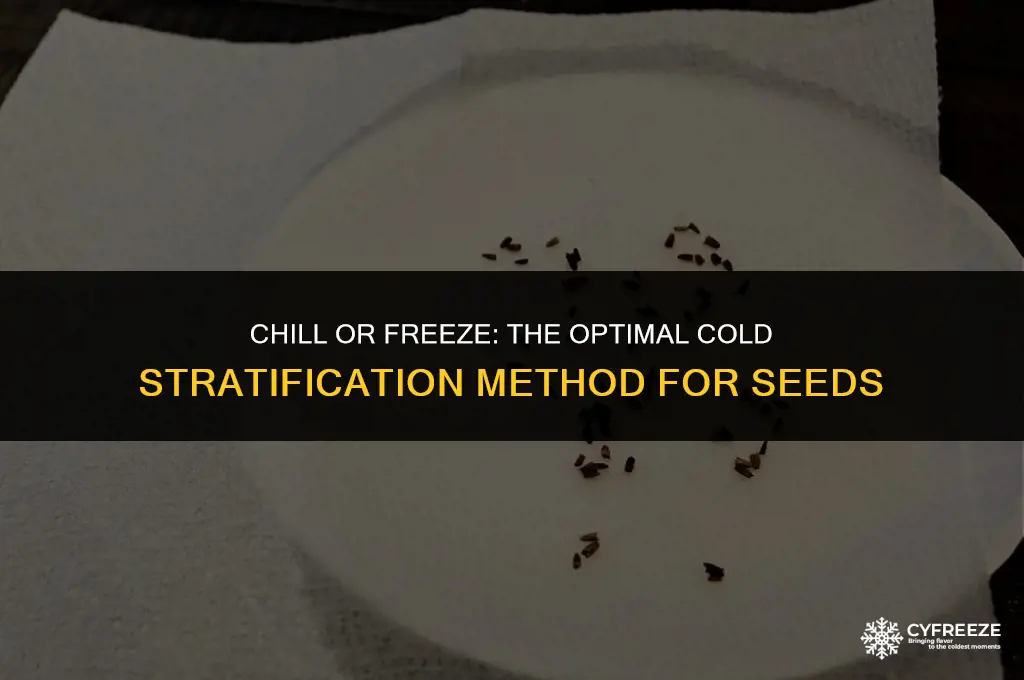 do you cold stratify seeds in the fridge or freezer