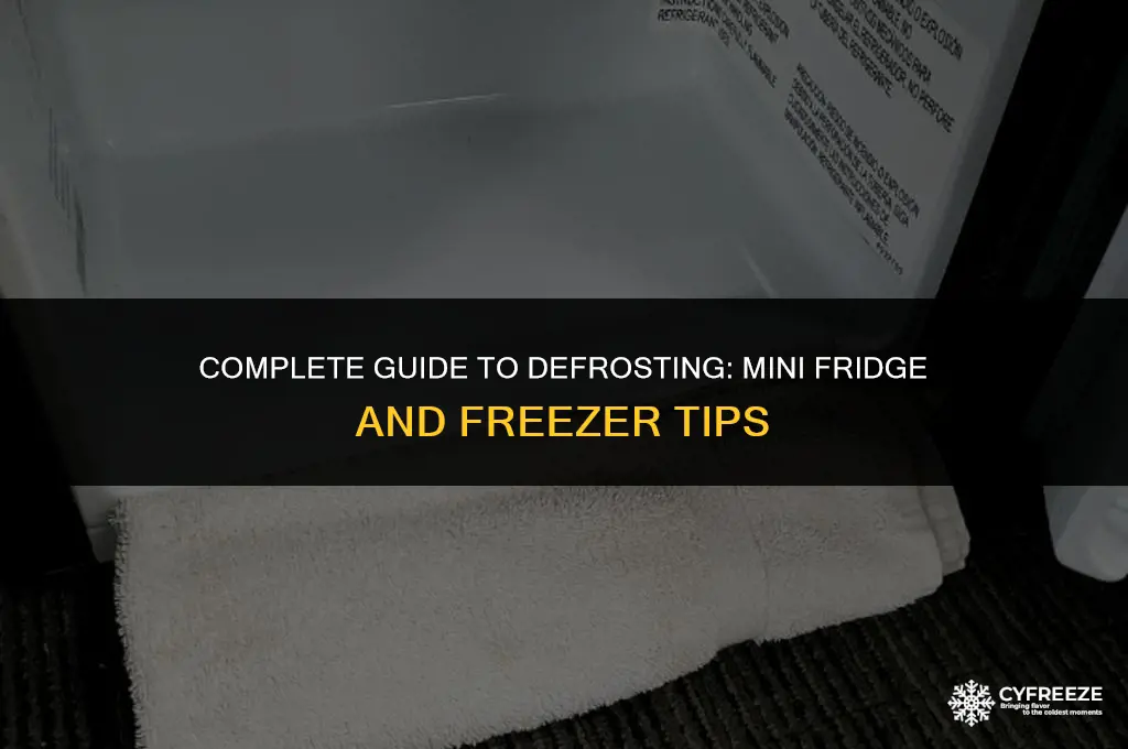 do you defrost the freezer too when defrosting mini fridge