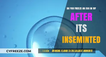 IVF Egg Freezing Post-Insemination: What You Need to Know