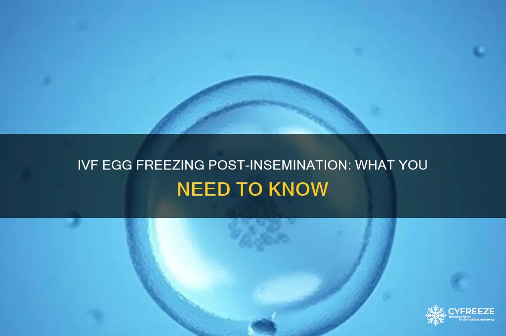 do you freeze an egg in ivf after its inseminted