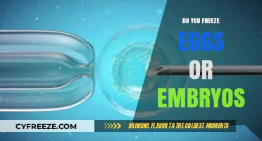 Freezing Eggs vs. Embryos: Which Fertility Preservation Option is Right for You?