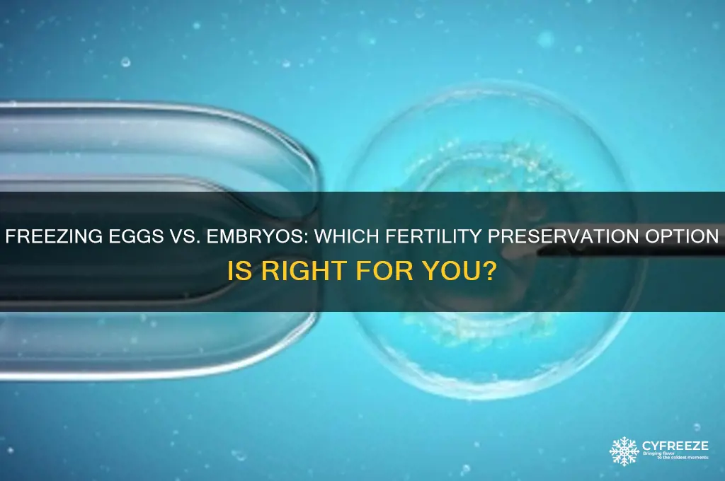 do you freeze eggs or embryos