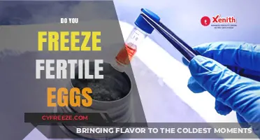 Freezing Fertile Eggs: A Guide to Preserving Your Fertility Options