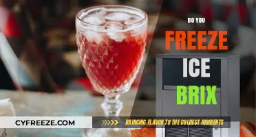Chill Your Drinks the Right Way: The Ice Brix Dilemma