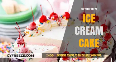 Sweet Treats: The Ultimate Guide to Freezing Ice Cream Cake