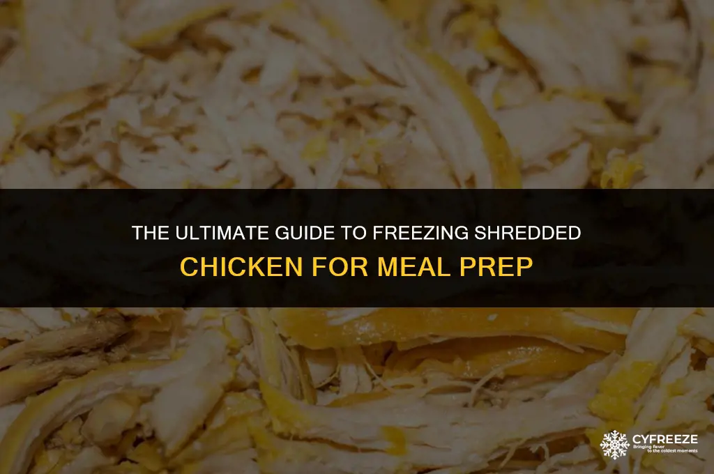 do you freeze shredded chicken