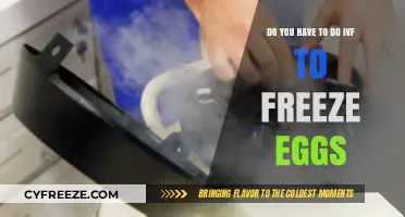 Egg Freezing Without IVF: Exploring Your Fertility Preservation Options