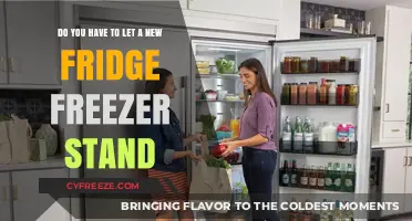 Unboxing Your New Fridge Freezer: To Stand or Not to Stand?