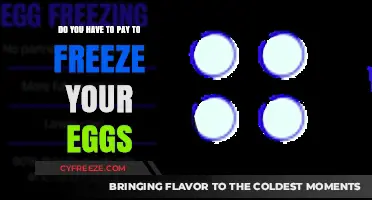 Egg Freezing Costs: What You Need to Know Before Freezing
