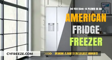 Do You Really Need to Plumb in an American Fridge Freezer?