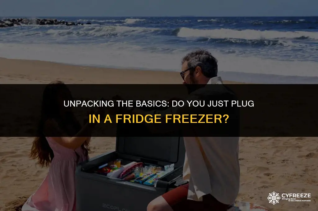 do you just plug in a fridge freezer