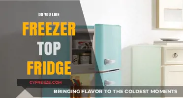 Chill Vibes: The Great Freezer-Top Fridge Debate