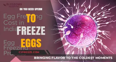 Freezing Eggs Without Sperm: What You Need to Know