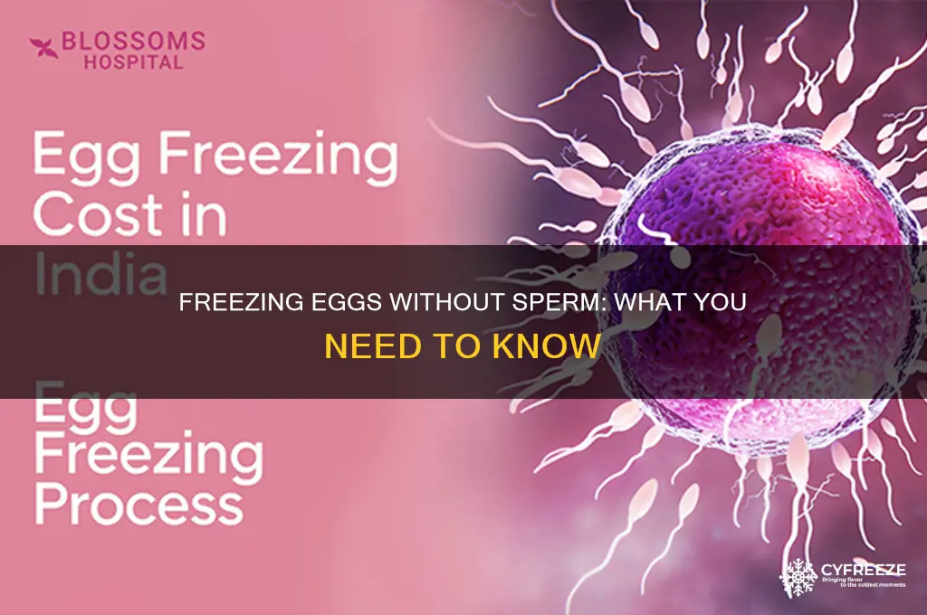 do you need sperm to freeze eggs