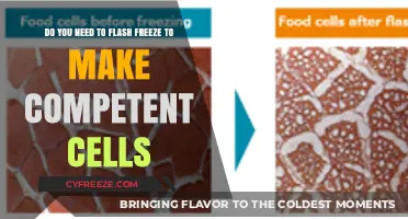 Flash Freezing: Essential for Competent Cell Preparation?