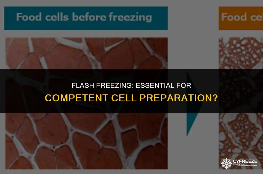 do you need to flash freeze to make competent cells