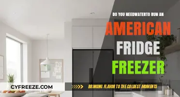 Do You Really Need Water to Run an American Fridge Freezer?