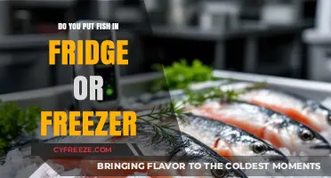 Chill or Freeze: The Optimal Storage for Fresh Fish