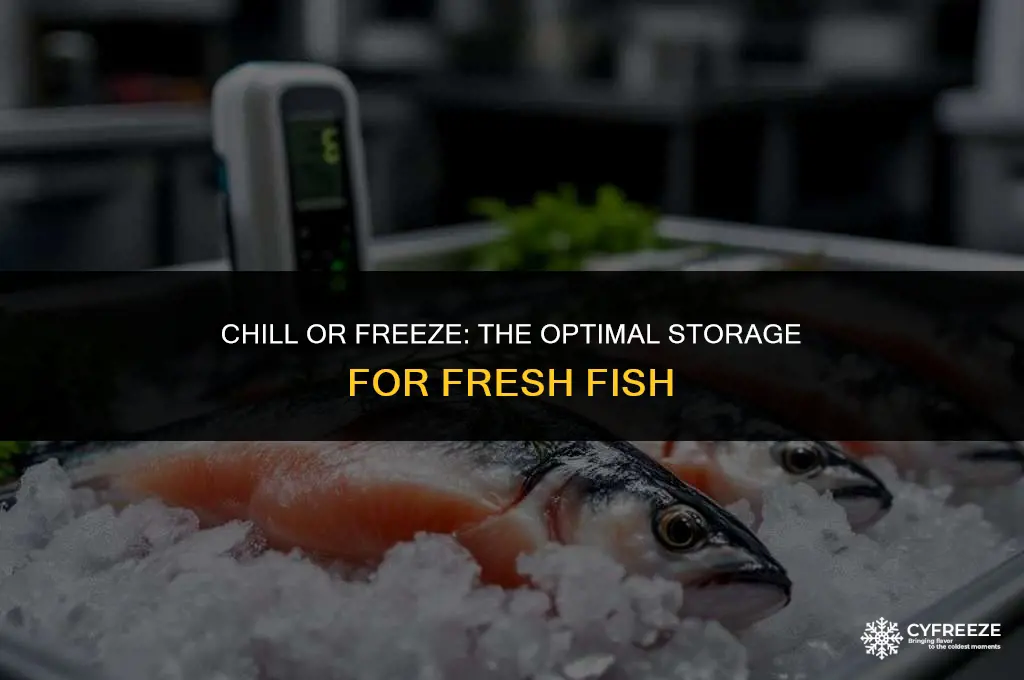 do you put fish in fridge or freezer