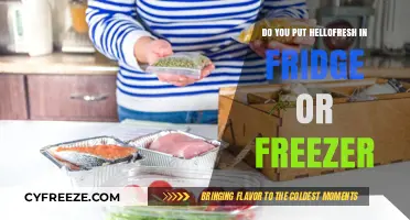 Fresh or Frozen: The Ideal Storage for Your HelloFresh Meals