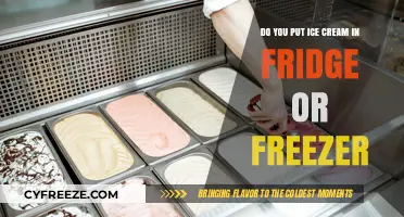Chill or Freeze: The Great Ice Cream Storage Debate