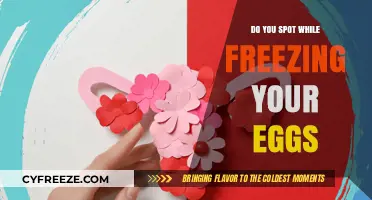 Egg Freezing and Spotting: What to Expect During the Process