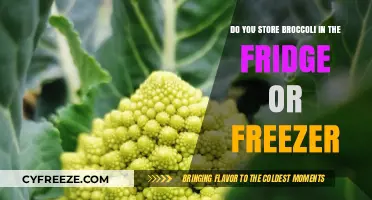 Chill or Freeze: The Ultimate Guide to Storing Broccoli
