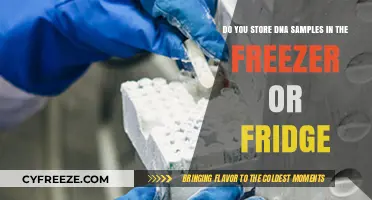 Optimal Storage for DNA Samples: Freezer or Fridge?