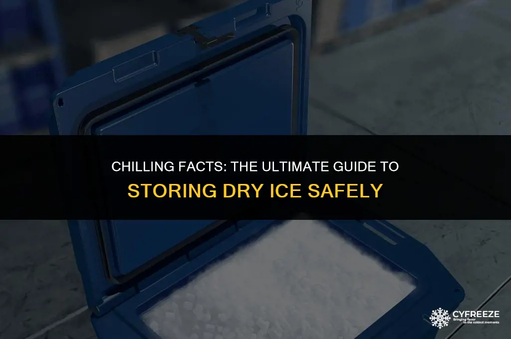 do you store dry ice in the freezer