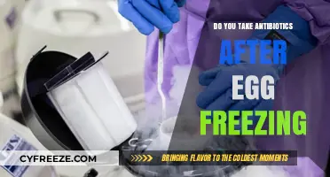 Antibiotics After Egg Freezing: Necessary or Not? Expert Insights