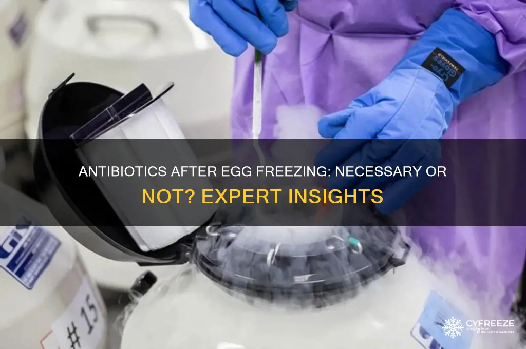 do you take antibiotics after egg freezing