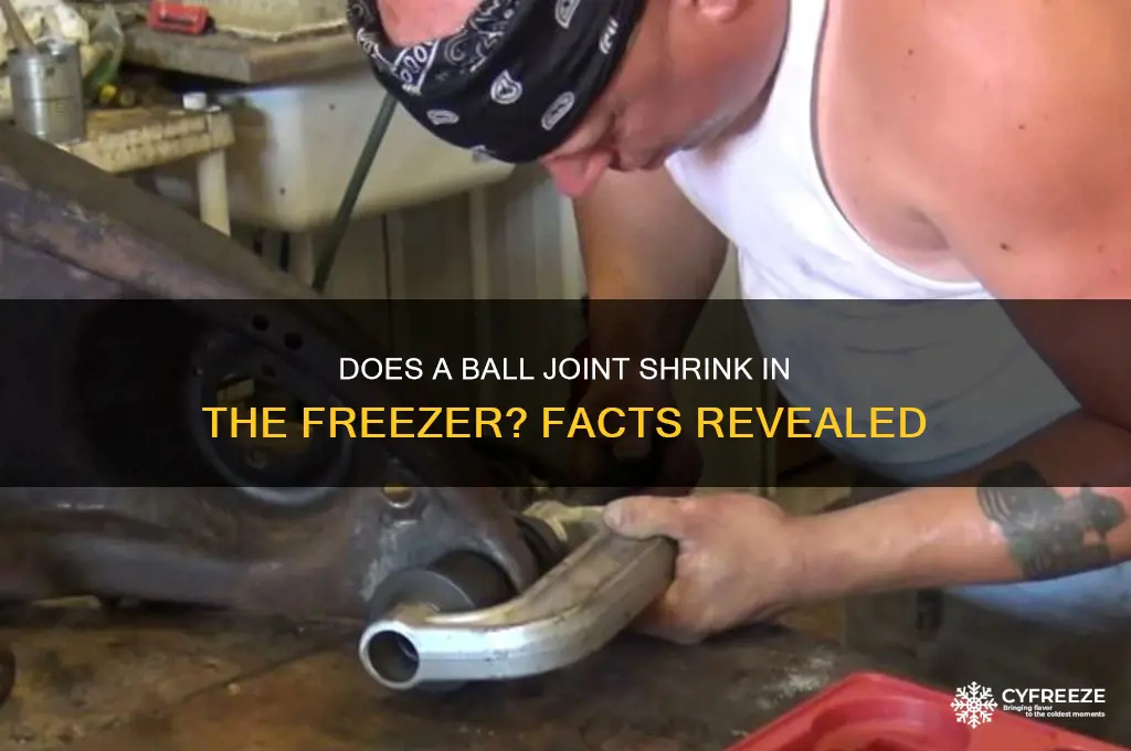 does a balt joint get smalller in freezer