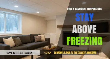 Basement Temperature: Does It Stay Above Freezing in Winter?
