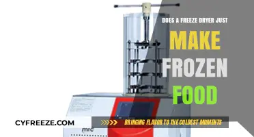 Beyond Frozen: Exploring the Versatility of Freeze Dryers