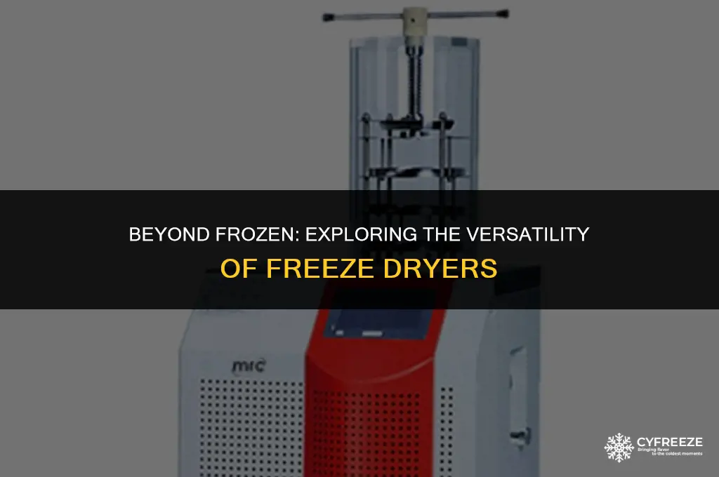 does a freeze dryer just make frozen food