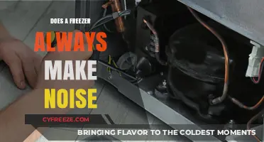 The Silent Sentinel: Does Your Freezer Always Make Noise?