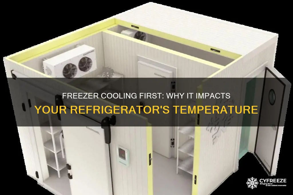 does a freezer have to get cold before the refrigerator