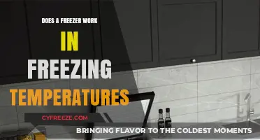 Can Your Freezer Function Efficiently in Freezing Outdoor Conditions?