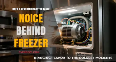 Behind the Scenes: Unraveling the Mystery of New Refrigerator Noises