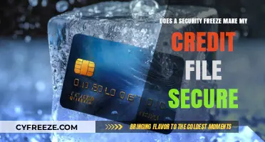 Safeguarding Your Credit: The Truth About Security Freezes