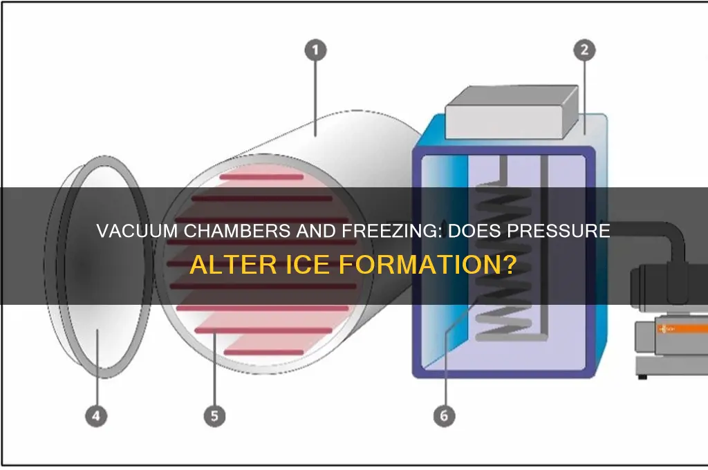 does a vacuum chamber lower the freezing point