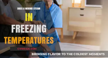 Wound Steam in Freezing Temps: Myth or Reality Explained