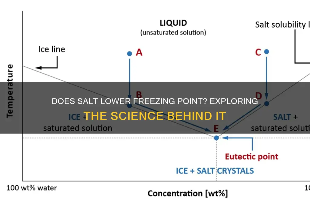 does adding salt increase freezing point