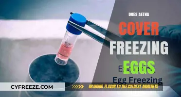 Does Aetna Cover Egg Freezing? Fertility Benefits Explained