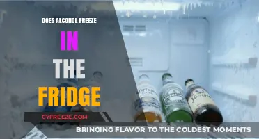 Chilling Truths: Does Alcohol Really Freeze in Your Fridge?