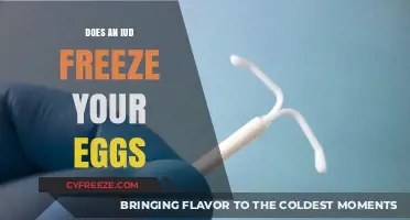 Does an IUD Freeze Your Eggs? Separating Fact from Fiction